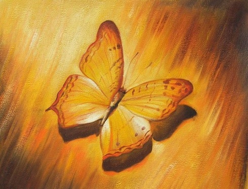  farfalla gialla dipinta a olio su tela dim.50x60 della Galleria Dipintinmovimento disponibile in vendita online